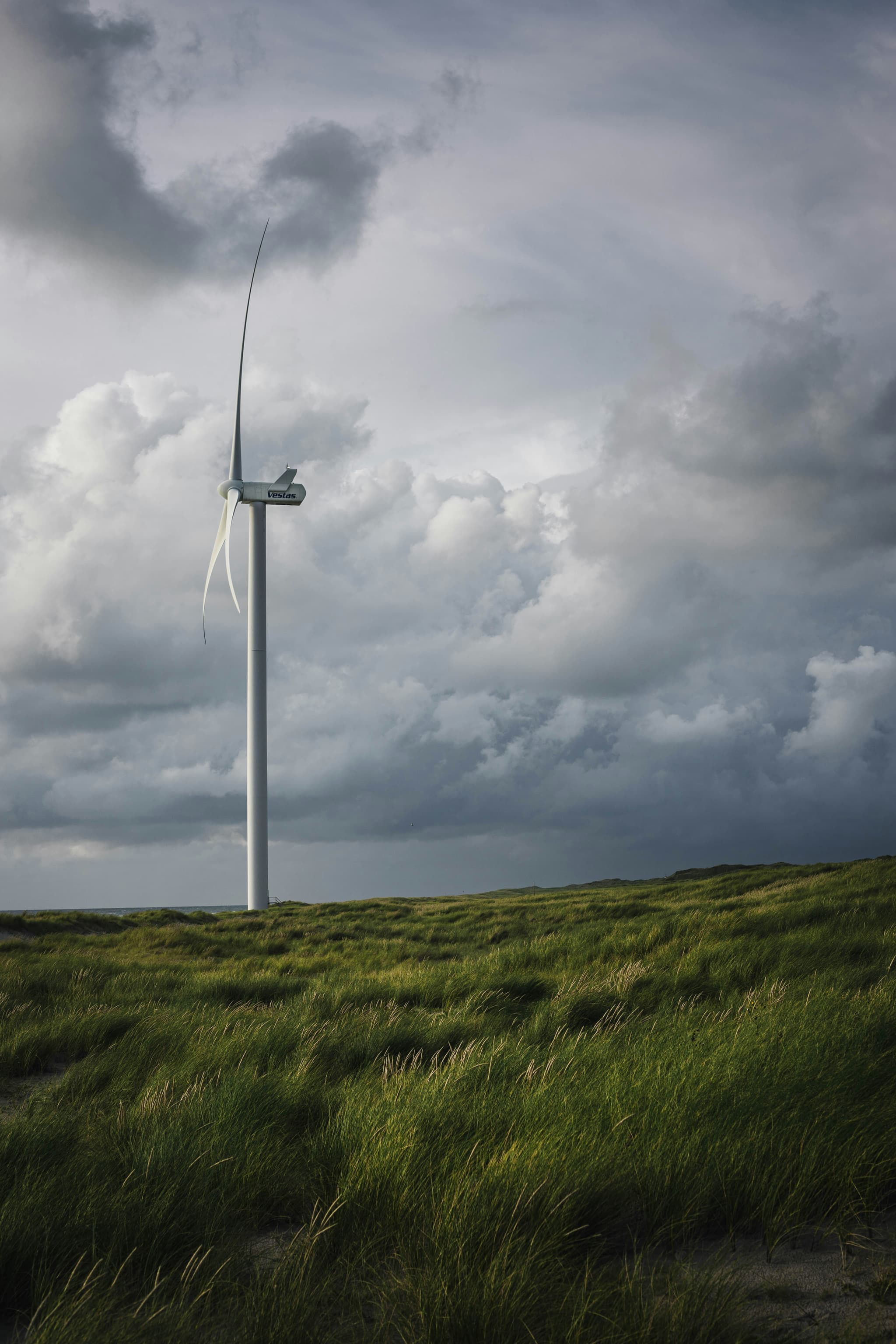Force Majeure Wind-Down in H1 2026: Legal and Commercial Reset for Chemical Supply Contracts