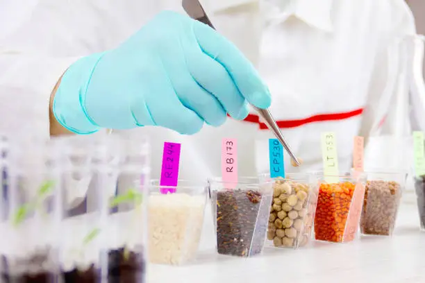 La campaña de etiquetado de la FSSAI podría cambiar la demanda de reformulación de ingredientes adyacentes a los alimentos