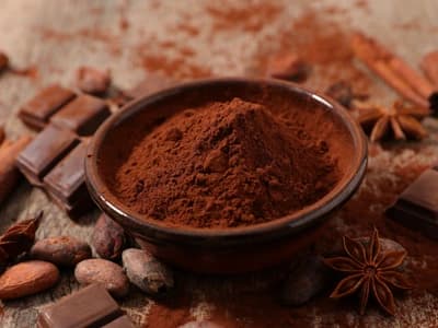 Polvo de cacao marrón oscuro alcalinizado